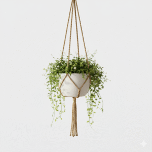 🪴 Modern Minimalist Ceramic Hanging Planter